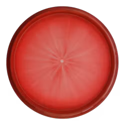 Fugitive Ten-Year Anniversary Fuzion Orbit (9)
