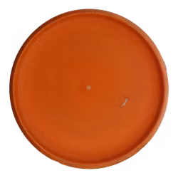 Aviar DX (6)