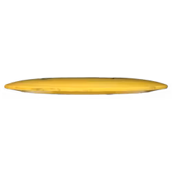 TeeRex PFN Star (6)