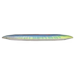 Destroyer Star (6)