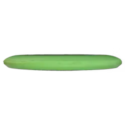 Aviar DX (7)