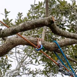 Teufelberger ringSLING förankringsslinga