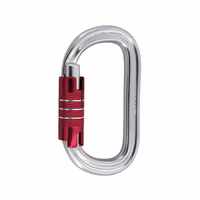 CAMP Oval XL 3Lock aluminiumkarbin