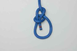 Bowline knot