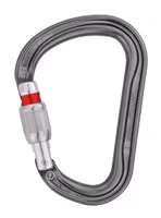 Petzl Am’D