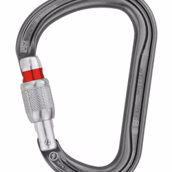 Petzl Am’D
