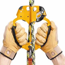 PETZL ASCENTREE