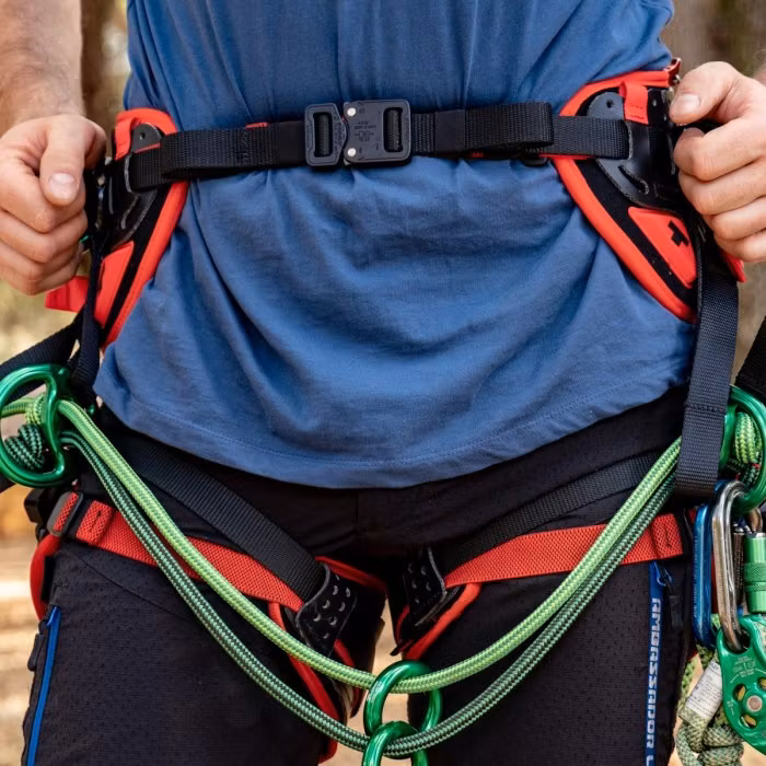 Teufelberger TreeMOTION pro