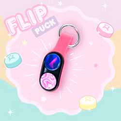 Flip puck fidget