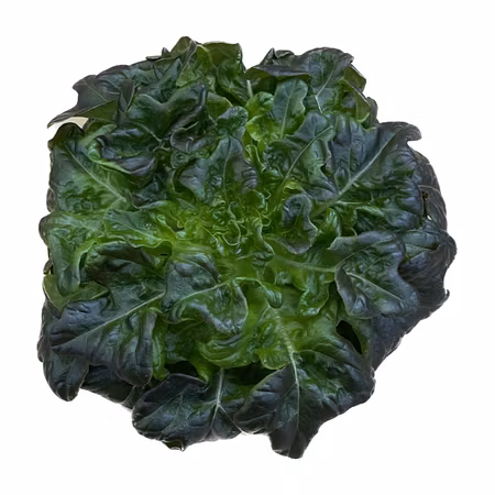 Ekbladssallat