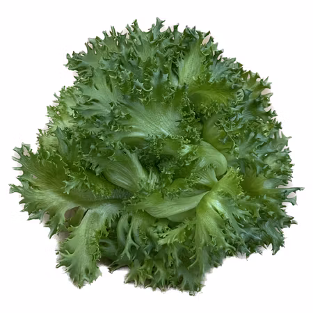 Krispsallat