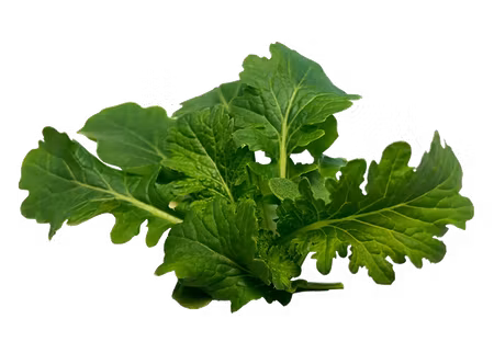 Ruccola Wasabina