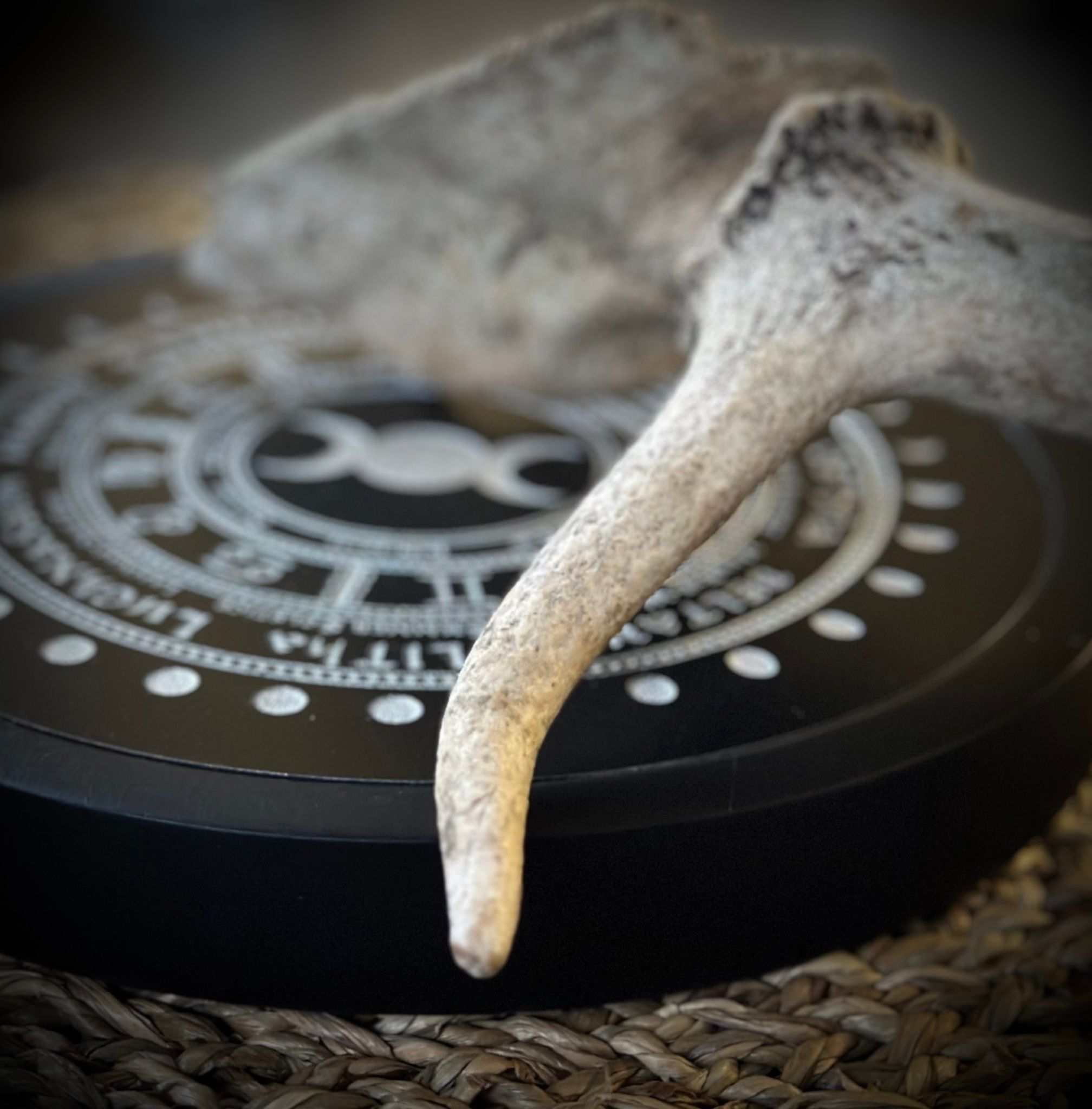 Wheel Of The Year Kristallnät 20 cm | Guld