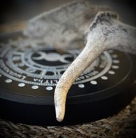 Wheel Of The Year Kristallnät 20 cm | Guld