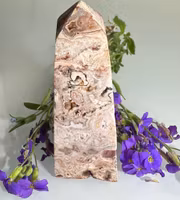 Crazy Lace Torn