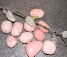 Rosa Opal Cuddle