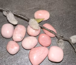 Rosa Opal Cuddle