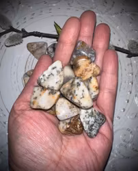 Dendritisk Opal, Trumlad