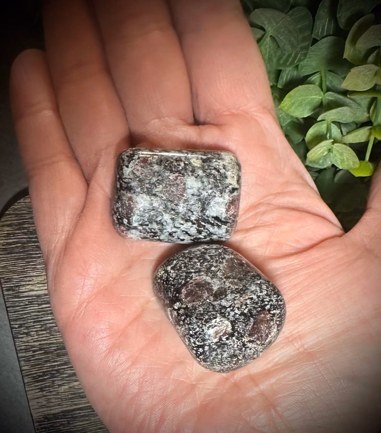 Biotit med Granat