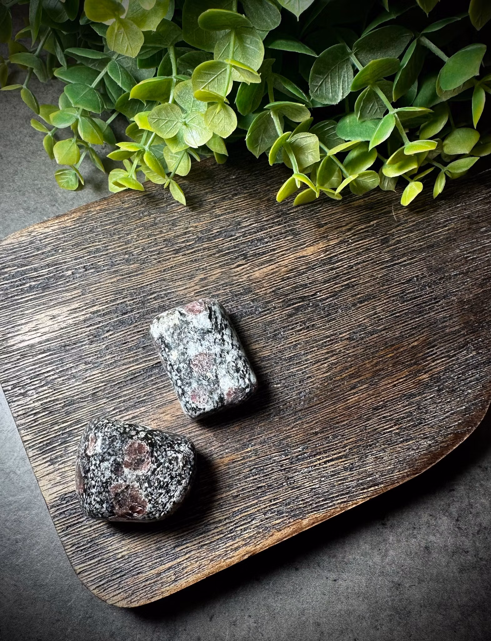 Biotit med Granat