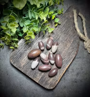 Shiva Lingam