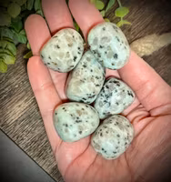 Kiwi Jaspis