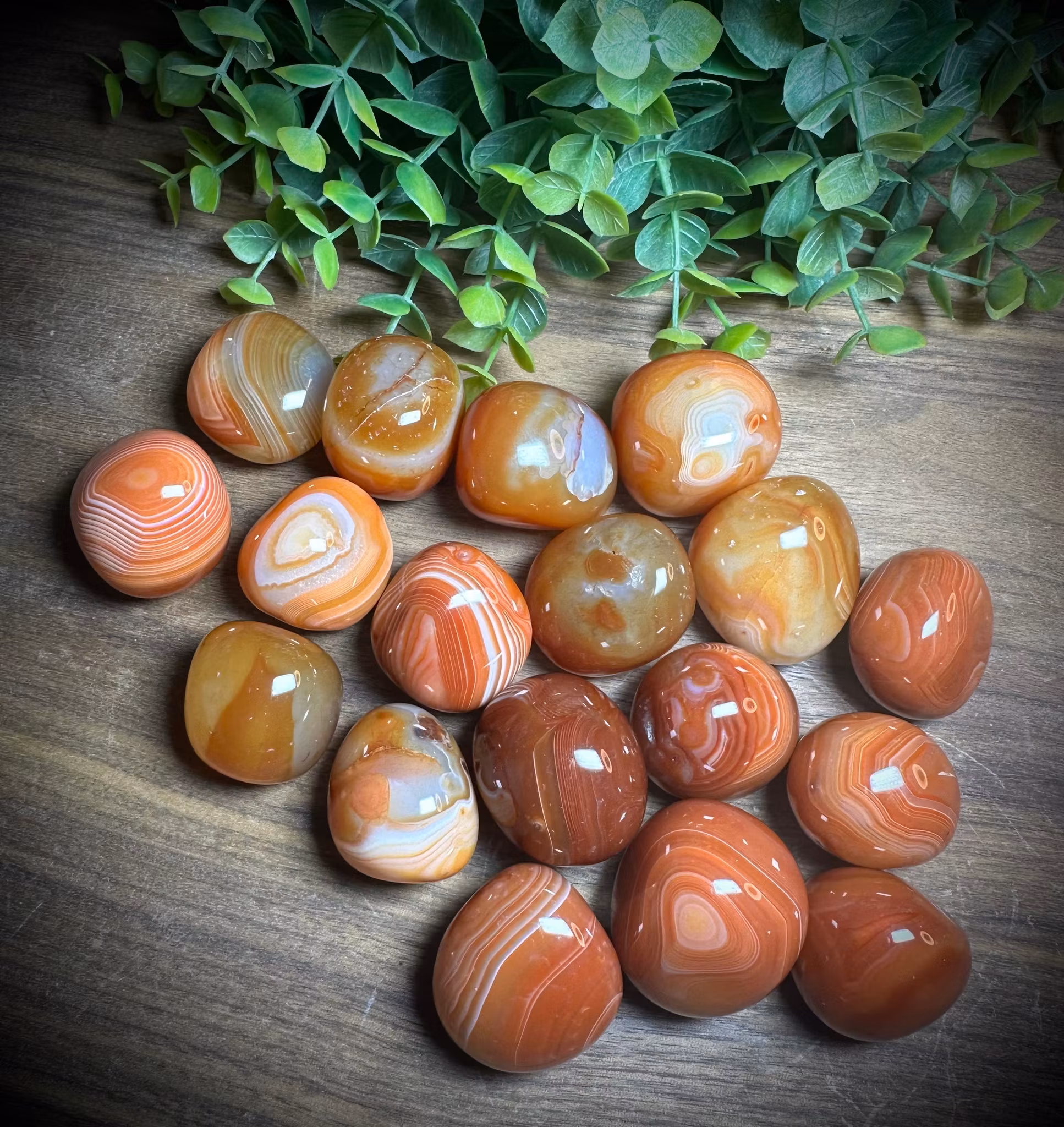 Sardonyx