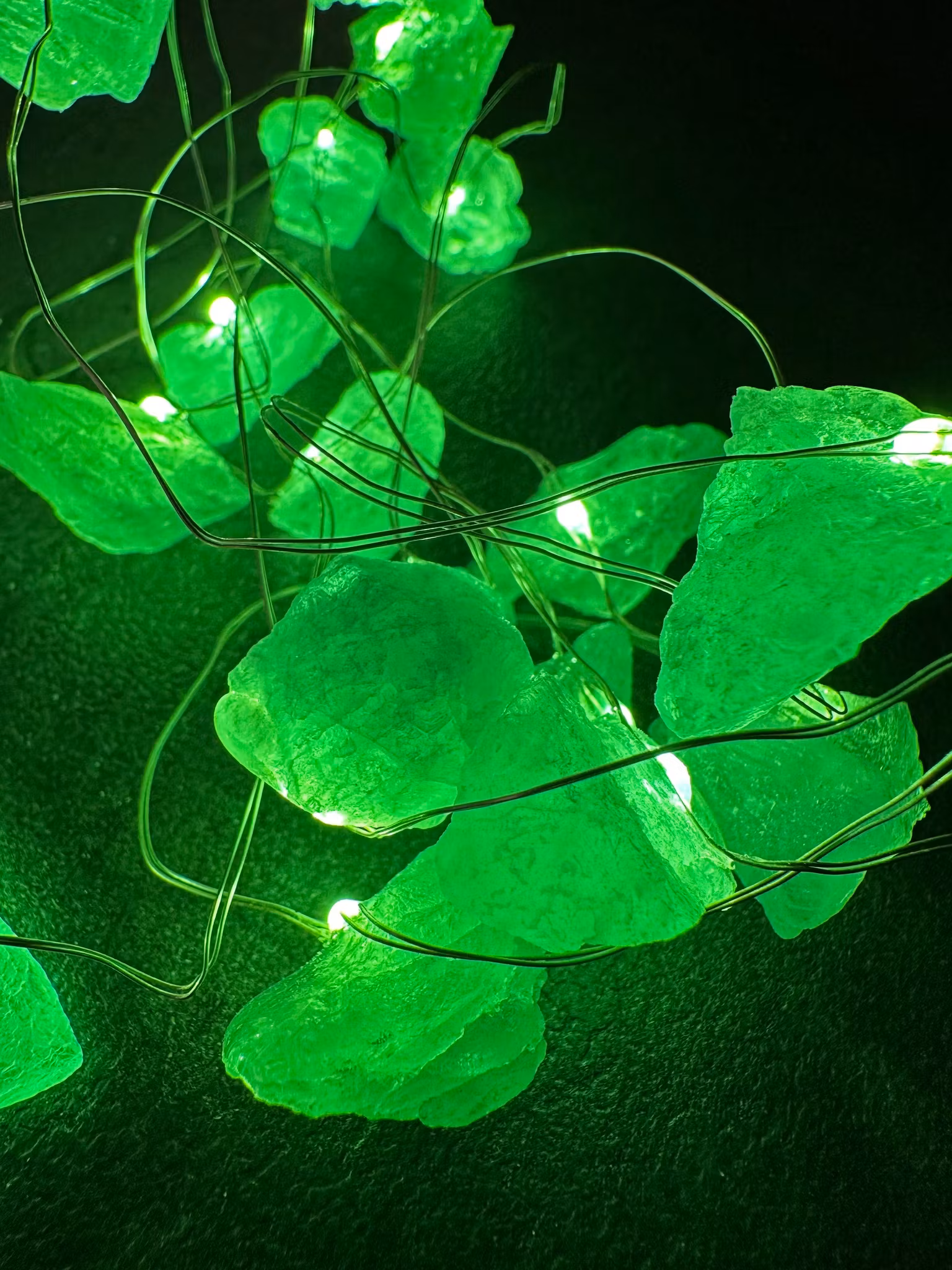 Ljusslinga | Grön Jade | REA