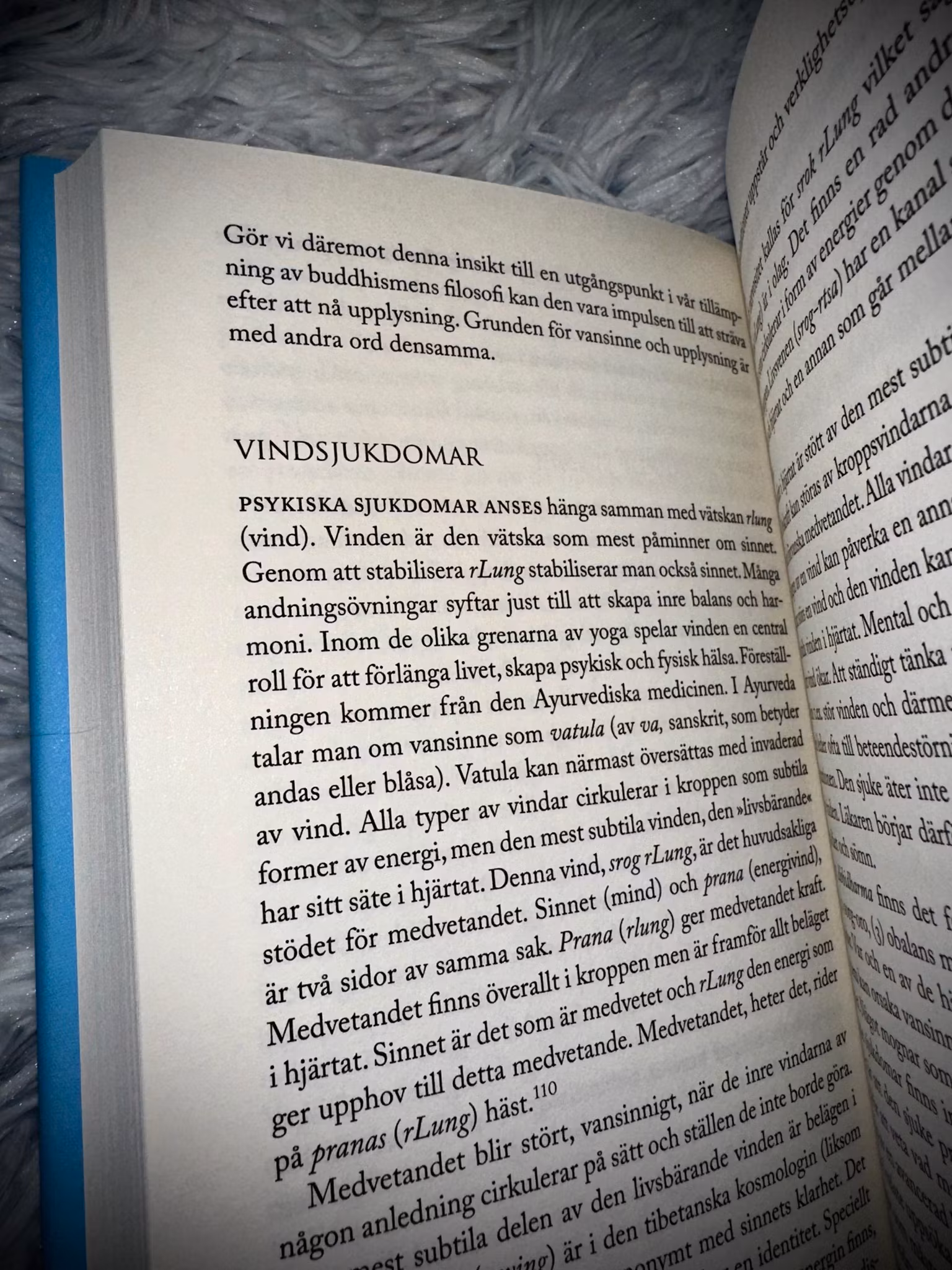 Den Läkande Buddha 🇸🇪