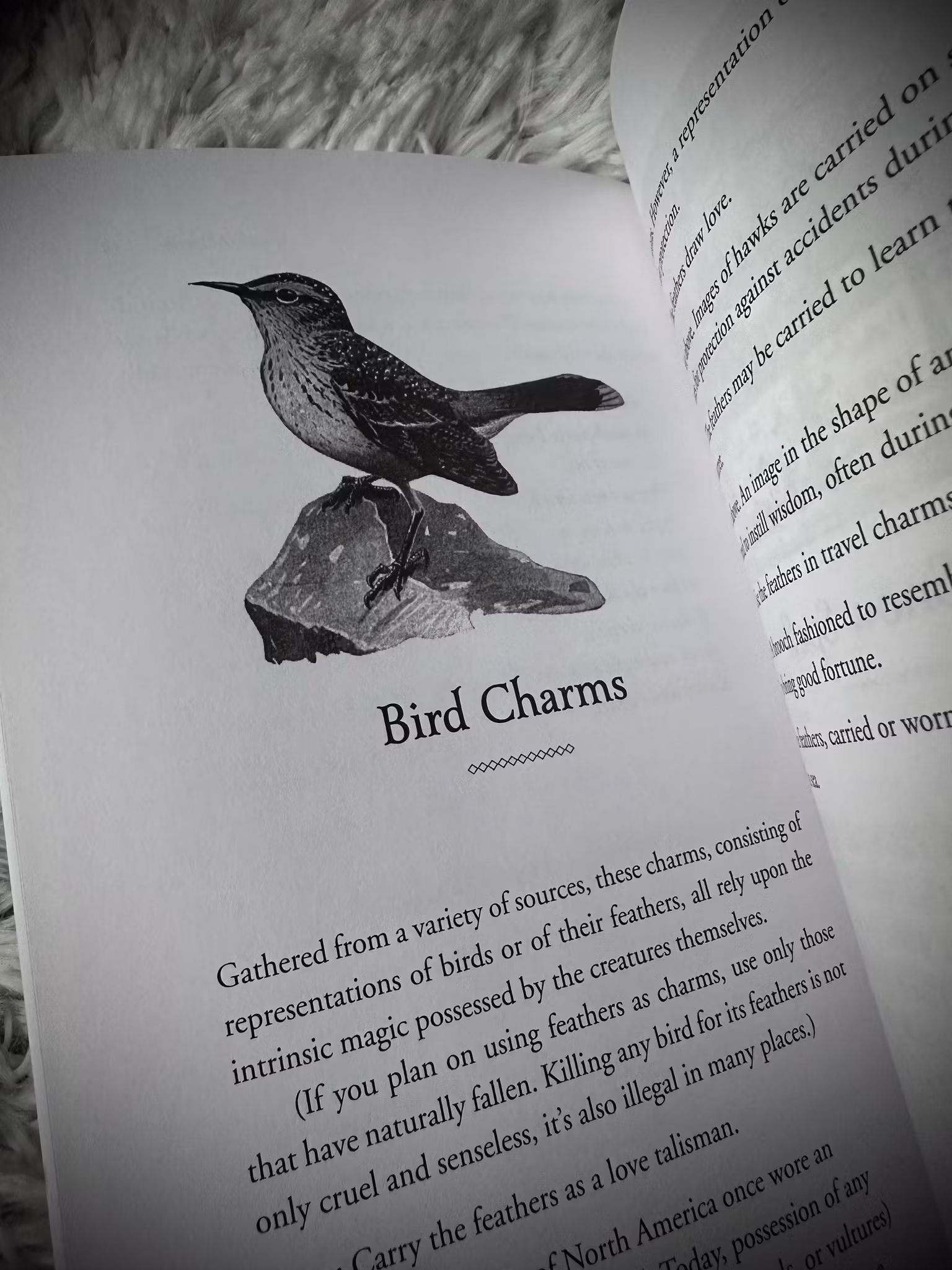 Magical Sampler - Collected Writings And Spells From The Renowned Wiccan Author 🇬🇧