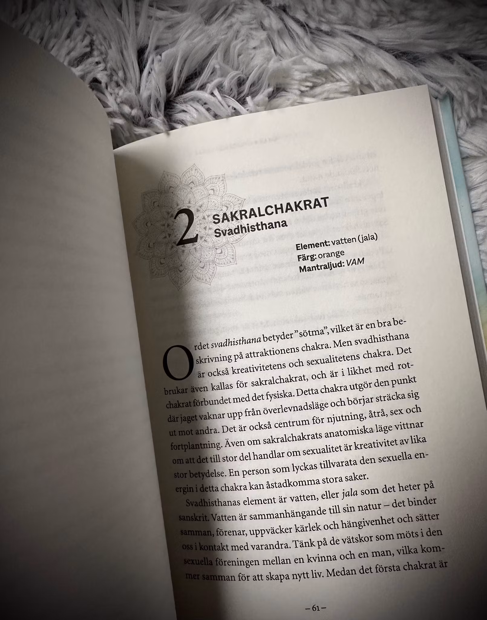 Chakra Healing -  Lär Känna Kroppens Energikällor För Inre Balans Och Livslust 🇸🇪