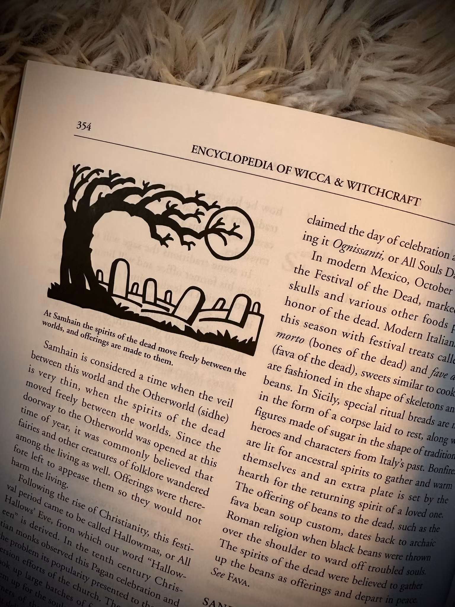 Encyclopedia Of Wicca & Witchcraft 2nd Edition Revised & Expanded 🇬🇧