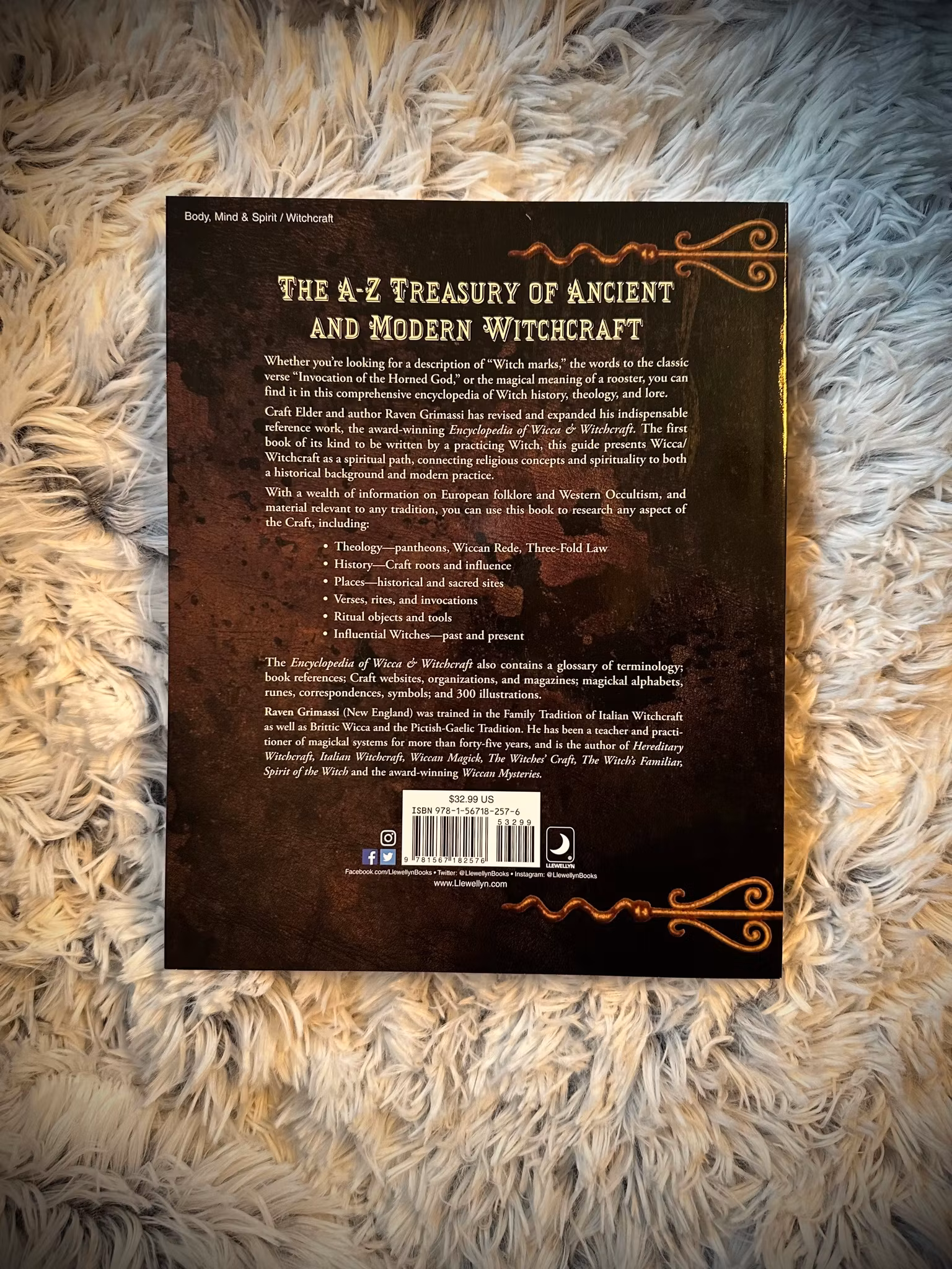 Encyclopedia Of Wicca & Witchcraft 2nd Edition Revised & Expanded 🇬🇧