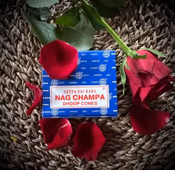 SATYA Rökelsekoner | Nag Champa