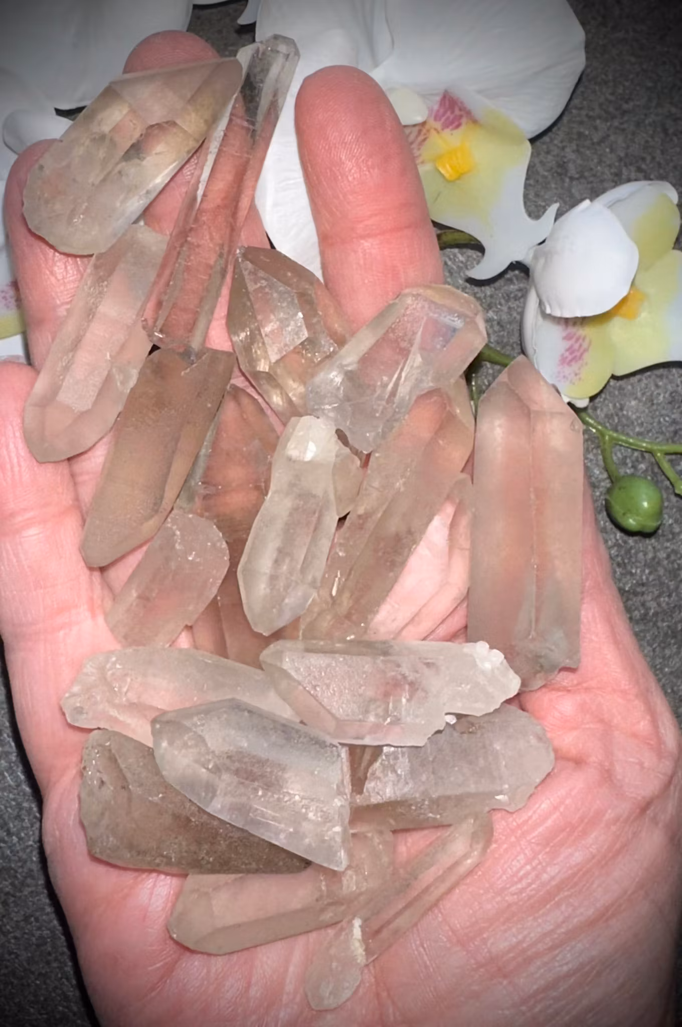 Rökig Lemurian Spets