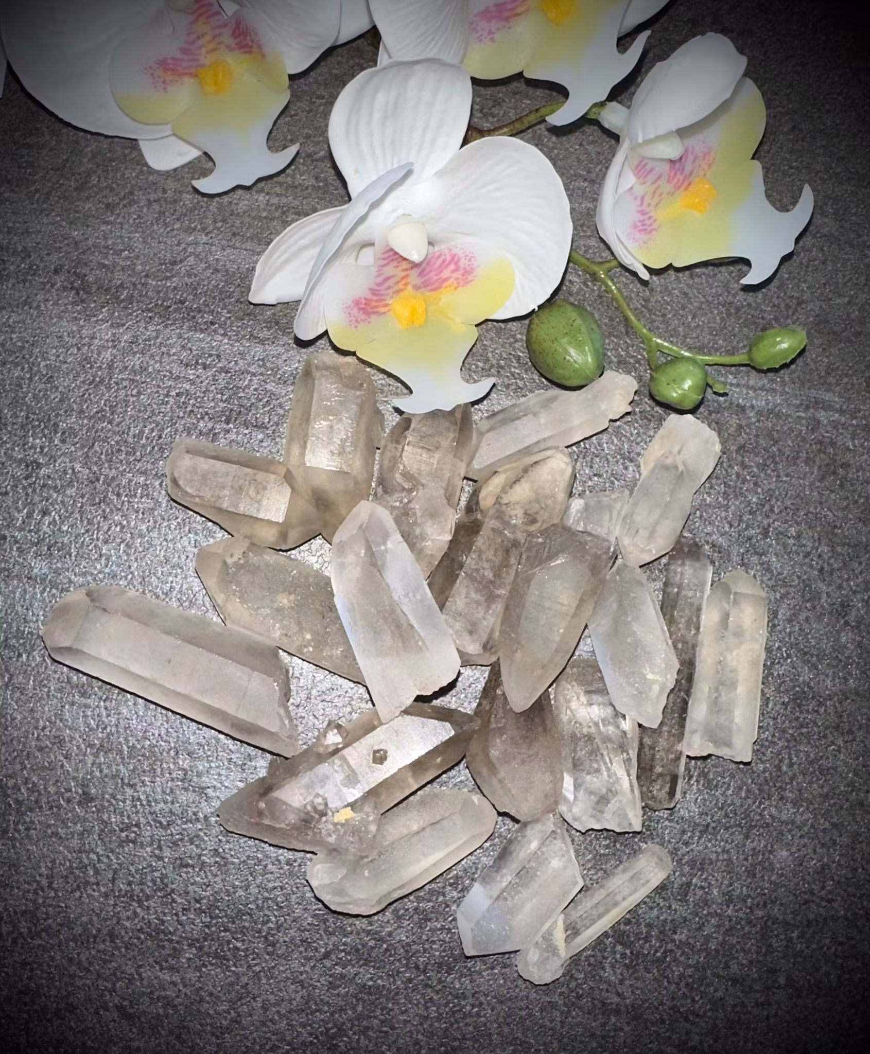 Rökig Lemurian Spets