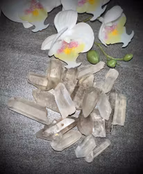 Rökig Lemurian Spets