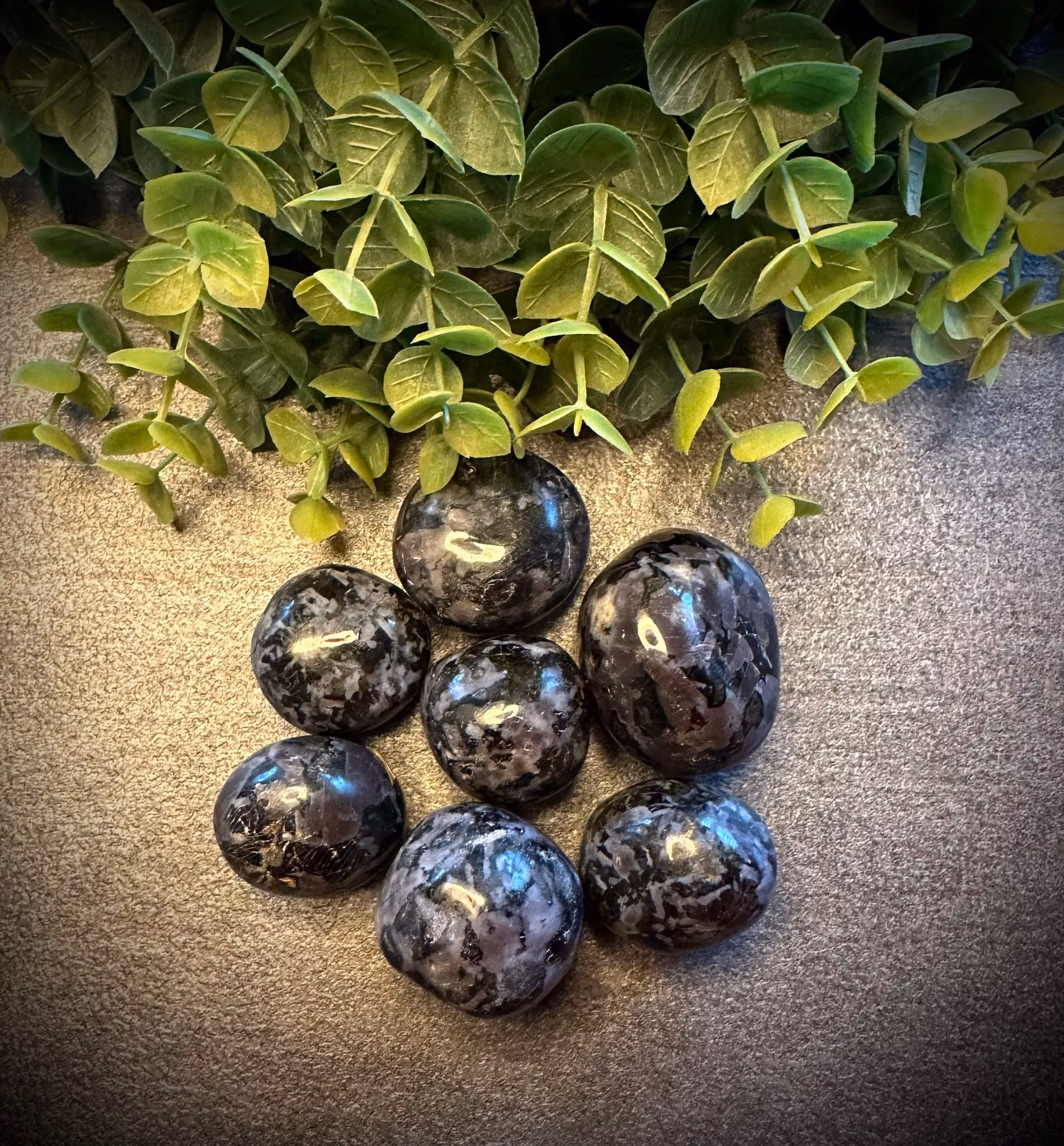 Indigo Gabbro
