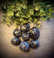 Indigo Gabbro