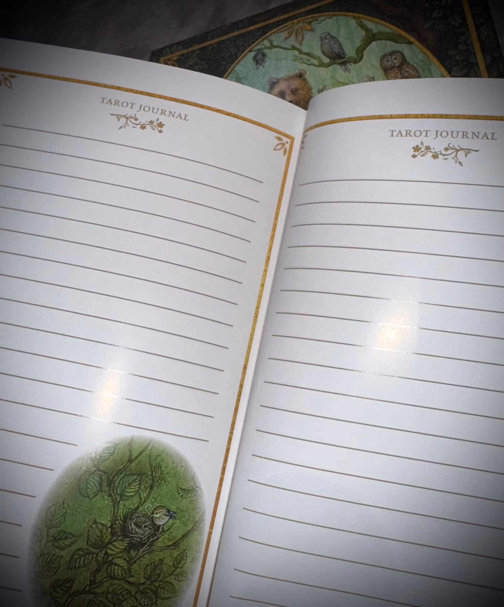 Forest Of Enchantement Tarot