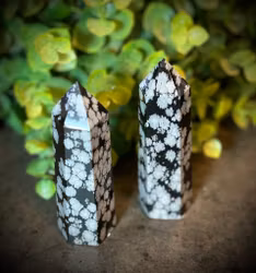 Snöflingeobsidian Torn