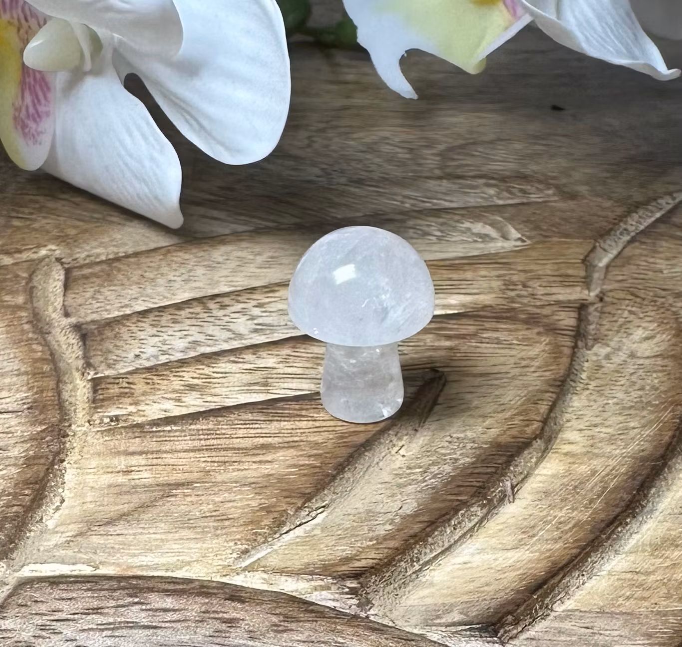 Svamp Carving