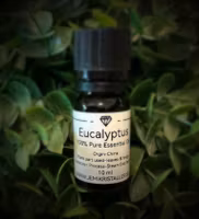 Jemi Eterisk olja | Eucalyptus