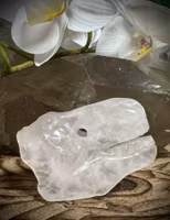 T-REX Carving
