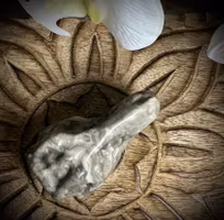 T-REX Carving