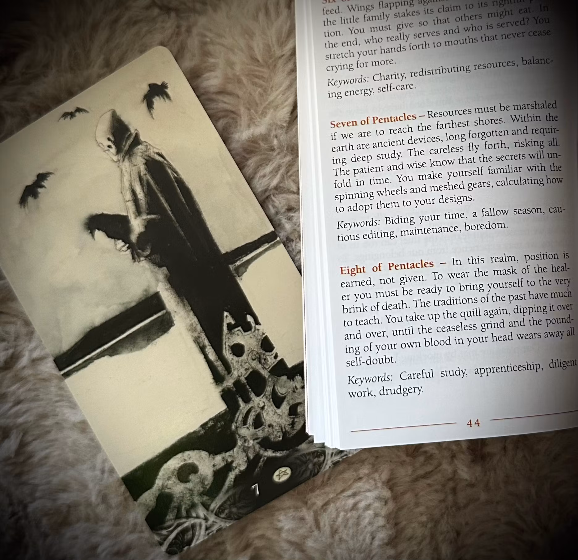 Murder Of Crows Tarot ( Boxed )