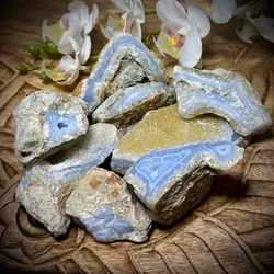 Blue Lace / Blå Bandagat