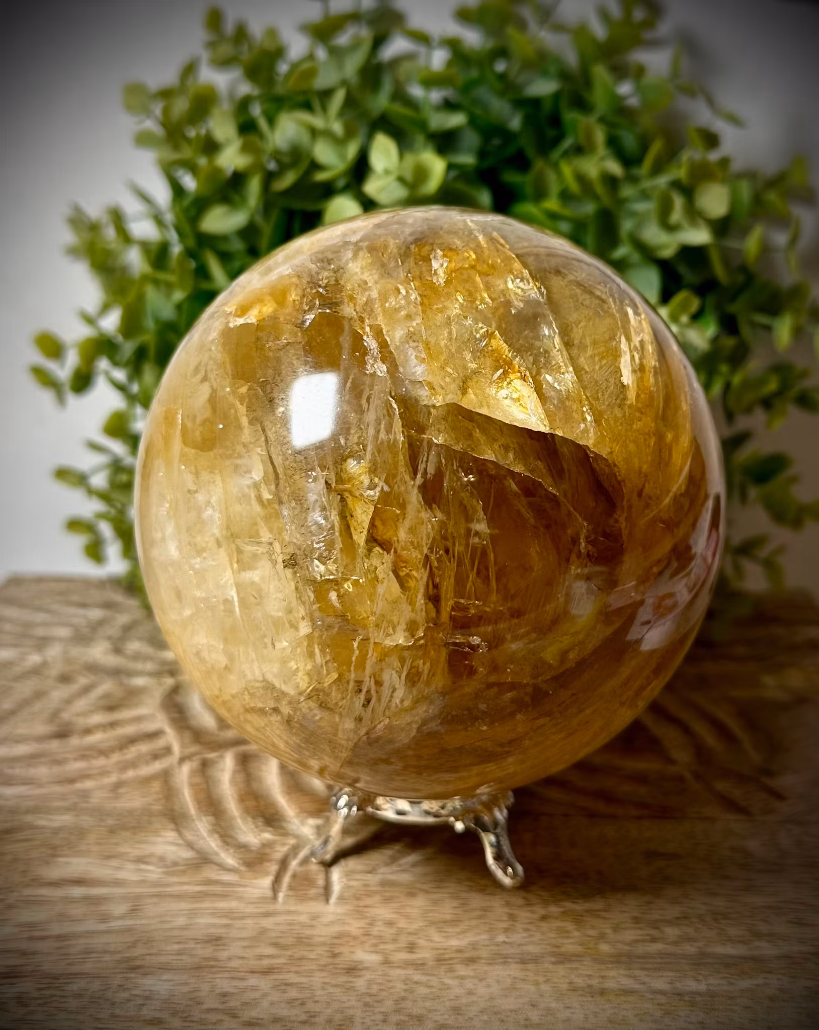 Golden Healer Klot | 115 mm