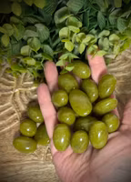 Lizardit