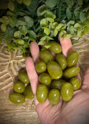 Lizardit